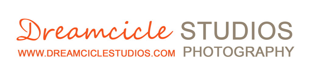 Sitehouse LOGO V2 web