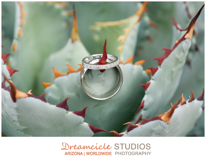 Dreamcicle Studio Photography, Arizona Wedding Photographers, Wedding Photographers, Wedding Photography, Arizona Wedding Photography, Phoenix Wedding Photographers, Phoenix Wedding Photography